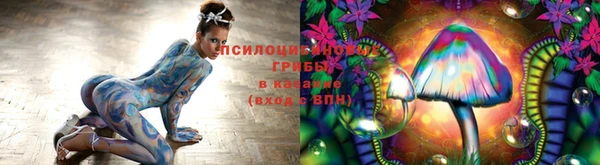 амф Горно-Алтайск