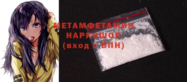 ГАЛЛЮЦИНОГЕННЫЕ ГРИБЫ Гусев