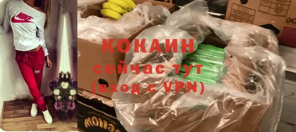 дживик Горнозаводск