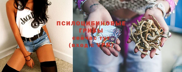 прущая мука Гусиноозёрск