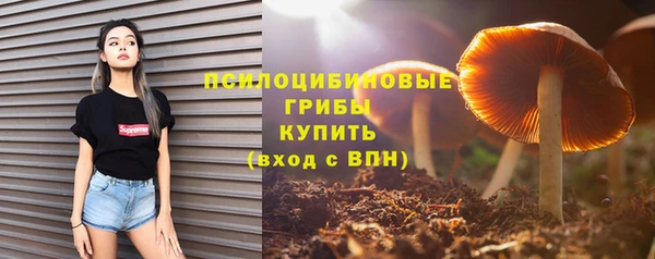 амф Горно-Алтайск