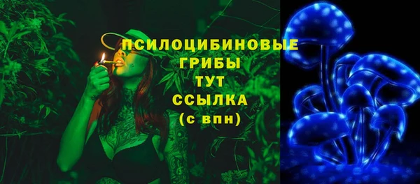 амф Горно-Алтайск