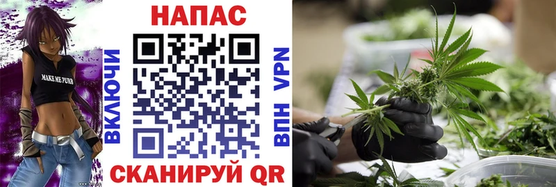 Бошки Шишки семена  Талдом 